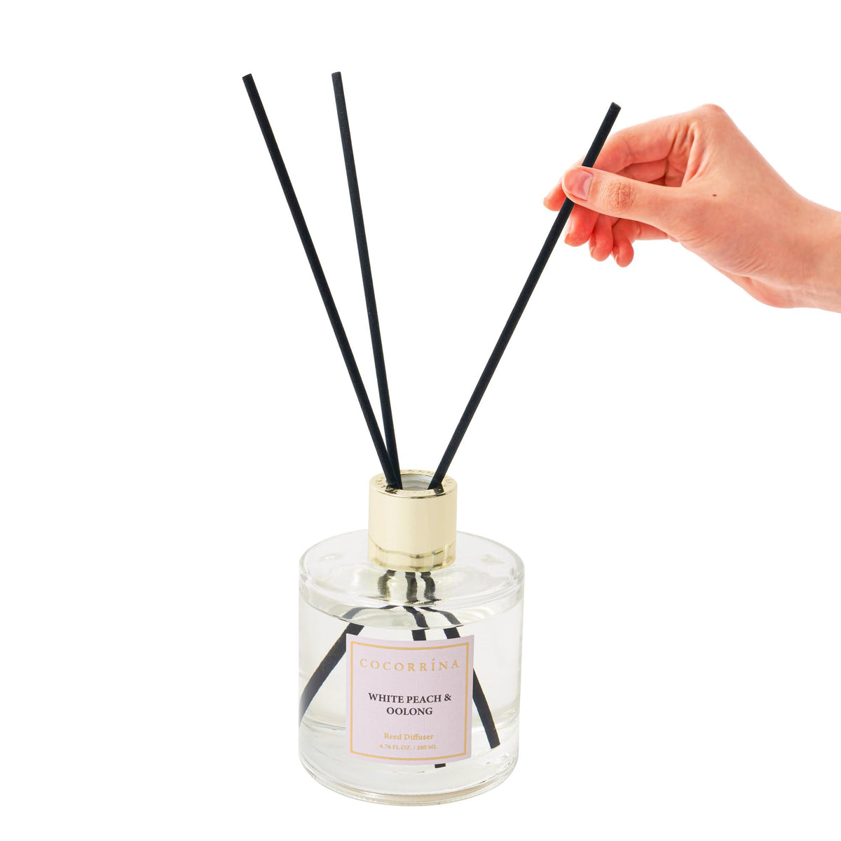 COCORRÍNA Reed Diffuser - Apple Cider 3.38 fl oz Reed Diffuser for Bedroom Bathroom Home Décor
