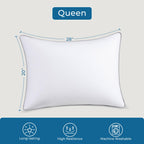 Sasttie Firm Pillows Queen Size Set of 2, Bed Pillows for Side, Back, and Stomach Sleepers - Oeko-Tex Certified Down Alternative Plump Filling - Hotel Quality and Machine Washable, 2 Pack