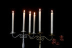 GenSwin 10.8" Flameless Floating Candles Wand Halloween Decorations