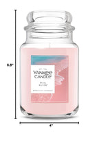 Yankee Candle Macintosh Scented Candle, 22oz Large Jar