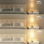 Fenmzee Bedside Table Lamp for Bedroom - Dimmable Touch, USB A+C, AC Outlet