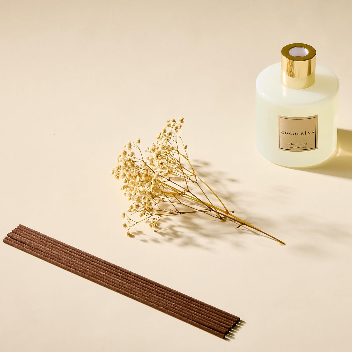 COCORRÍNA Reed Diffuser - Apple Cider 3.38 fl oz Reed Diffuser for Bedroom Bathroom Home Décor