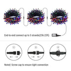 Brizled LED Halloween Lights Indoor Outdoor Orange & Purple String Light