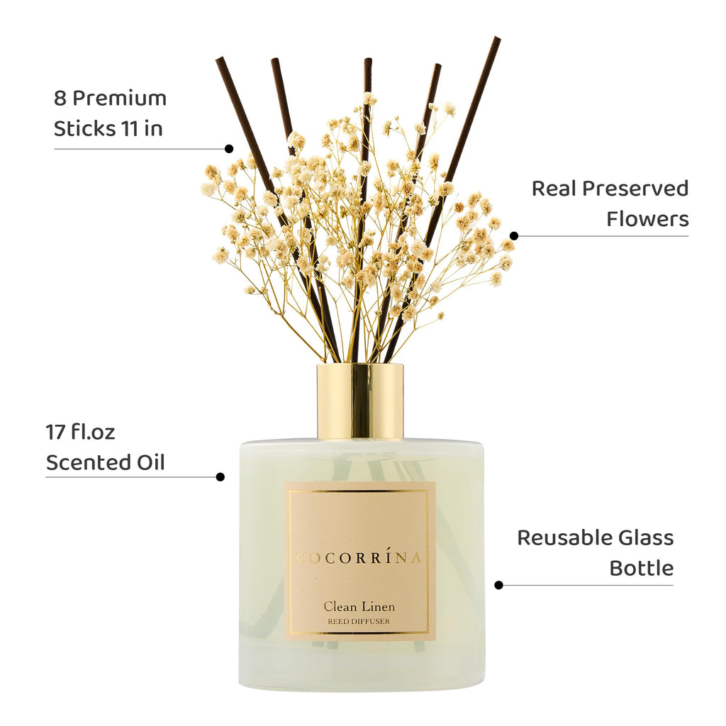 COCORRÍNA Reed Diffuser - Apple Cider 3.38 fl oz Reed Diffuser for Bedroom Bathroom Home Décor