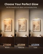 EZVALO Picture Light for Wall, 13'' Rechargeable Magnetic with Remote