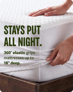 SafeRest Waterproof Queen Size Mattress Protector