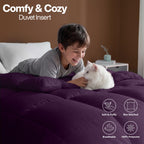 Utopia Bedding Queen Comforter, Duvet Insert, White, 88 x 88 Inches