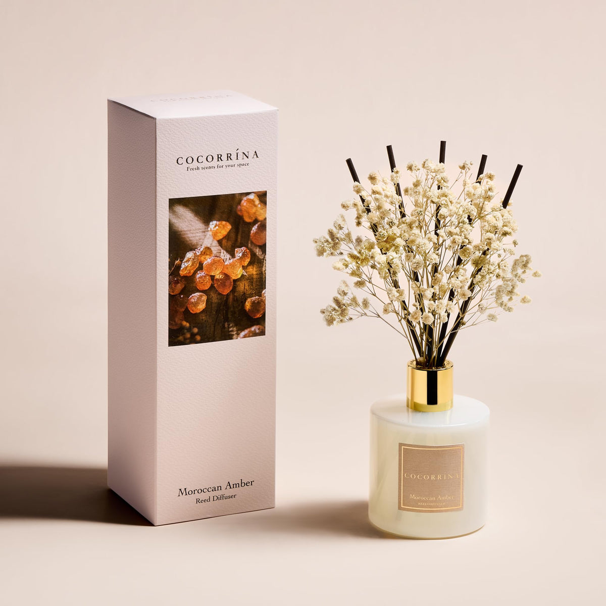 COCORRÍNA Reed Diffuser - Apple Cider 3.38 fl oz Reed Diffuser for Bedroom Bathroom Home Décor