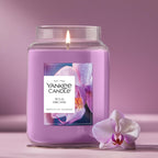 Yankee Candle Macintosh Scented Candle, 22oz Large Jar