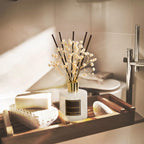 COCORRÍNA Reed Diffuser - Apple Cider 3.38 fl oz Reed Diffuser for Bedroom Bathroom Home Décor