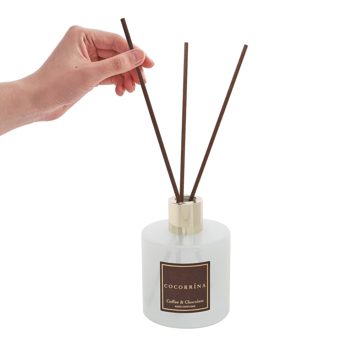 COCORRÍNA Reed Diffuser - Apple Cider 3.38 fl oz Reed Diffuser for Bedroom Bathroom Home Décor