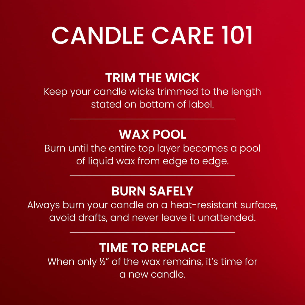 Yankee Candle Balsam & Cedar Scented Candle, 22oz Large Jar