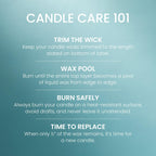 Yankee Candle Balsam & Cedar Scented Candle, 22oz Large Jar