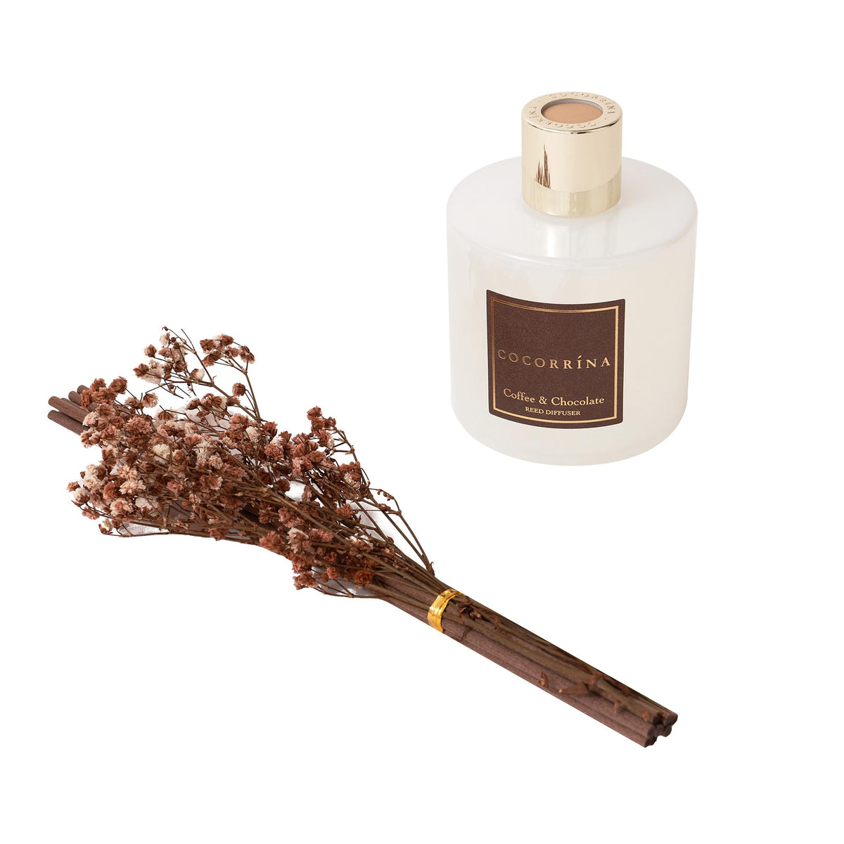 COCORRÍNA Reed Diffuser - Apple Cider 3.38 fl oz Reed Diffuser for Bedroom Bathroom Home Décor