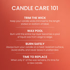 Yankee Candle Amber & Sandalwood Scented Candle, 14.5oz 3-Wick