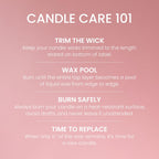 Yankee Candle Macintosh Scented Candle, 22oz Large Jar