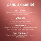 Yankee Candle Amber & Sandalwood Scented Candle, 14.5oz 3-Wick