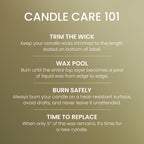 Yankee Candle Balsam & Cedar Scented Candle, 22oz Large Jar