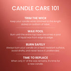 Yankee Candle Amber & Sandalwood Scented Candle, 14.5oz 3-Wick