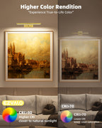 EZVALO Picture Light for Wall, 13'' Rechargeable Magnetic with Remote