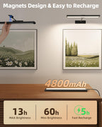 EZVALO Picture Light for Wall, 13'' Rechargeable Magnetic with Remote
