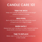 Yankee Candle Macintosh Scented Candle, 22oz Large Jar