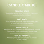 Yankee Candle Macintosh Scented Candle, 22oz Large Jar