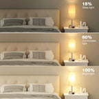 Fenmzee Bedside Table Lamp for Bedroom - Dimmable Touch, USB A+C, AC Outlet