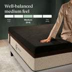 Zinus 14 Inch King Lumbar+ Premium Memory Foam Mattress, Medium