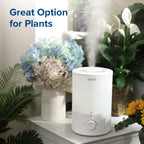 Levoit Top Fill Humidifiers for Bedroom, 2.5L Tank for Large Room, 25dB