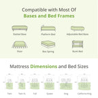 EGOHOME Twin Mattress 14 Inch, Green Tea Memory Foam Mattress, Medium Plush