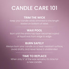 Yankee Candle Macintosh Scented Candle, 22oz Large Jar