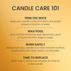 Yankee Candle Amber & Sandalwood Scented Candle, 14.5oz 3-Wick