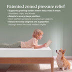 Zinus 14 Inch King Lumbar+ Premium Memory Foam Mattress, Medium