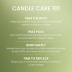 Yankee Candle Macintosh Scented Candle, 22oz Large Jar