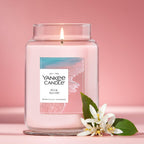 Yankee Candle Macintosh Scented Candle, 22oz Large Jar