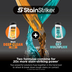 Shark StainStriker Portable Carpet/Upholstery Cleaner, 4 Tools, PX202BRN