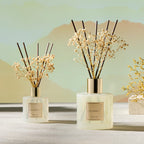 COCORRÍNA Reed Diffuser - Apple Cider 3.38 fl oz Reed Diffuser for Bedroom Bathroom Home Décor