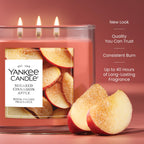 Yankee Candle Amber & Sandalwood Scented Candle, 14.5oz 3-Wick