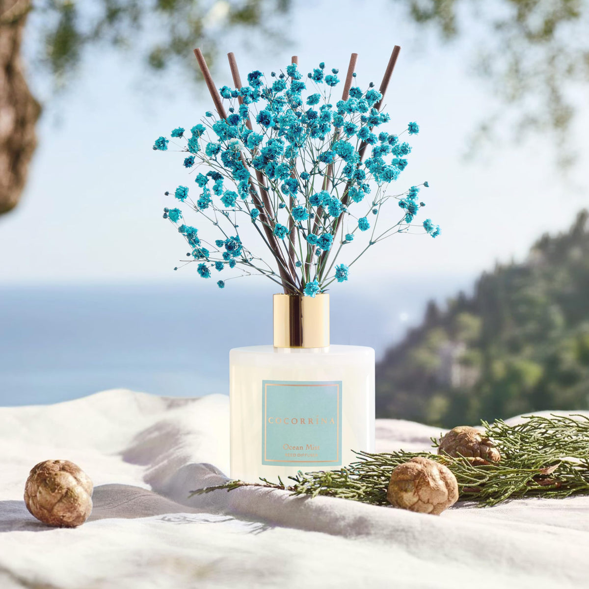 COCORRÍNA Reed Diffuser - Apple Cider 3.38 fl oz Reed Diffuser for Bedroom Bathroom Home Décor