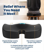 Everlasting Comfort Doctor Recommended Memory Foam Seat Cushion for Office Chairs & Car - Ergonomic Office Desk Accessories - Cushions for Tailbone Pain Relief, Sciatica (Black, Large)