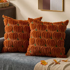 DFXSZ Fall Pillow Covers 18x18 2Pcs Beige Brown Pumpkin Fall Decorations