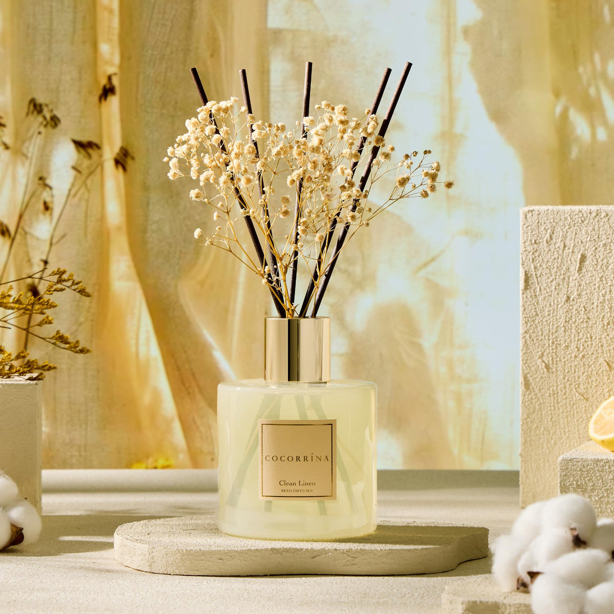 COCORRÍNA Reed Diffuser - Apple Cider 3.38 fl oz Reed Diffuser for Bedroom Bathroom Home Décor