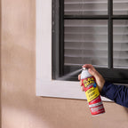 Flex Seal Spray Rubber Sealant Coating, Waterproof, Clear, 17 oz, 2-Pack