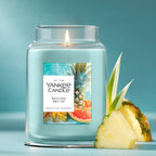 Yankee Candle Macintosh Scented Candle, 22oz Large Jar