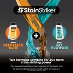 Shark StainStriker Portable Carpet/Upholstery Cleaner, 4 Tools, PX202BRN