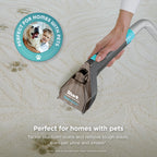 Shark StainStriker Portable Carpet/Upholstery Cleaner, 4 Tools, PX202BRN