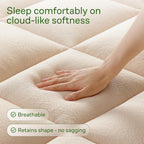 Niagara Sleep Solution Queen Ultra Soft Mattress Topper — Back Pain Relief