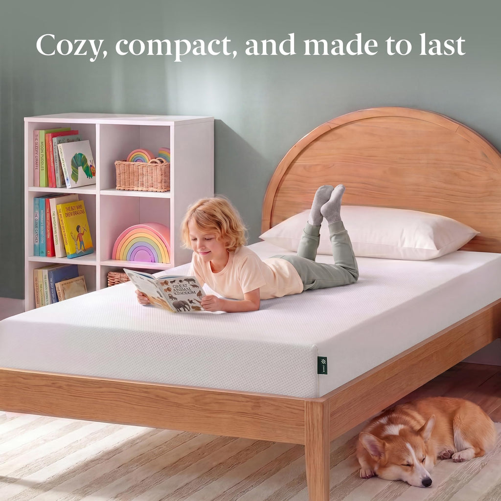 Zinus 14 Inch King Lumbar+ Premium Memory Foam Mattress, Medium