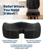 Everlasting Comfort Doctor Recommended Memory Foam Seat Cushion for Office Chairs & Car - Ergonomic Office Desk Accessories - Cushions for Tailbone Pain Relief, Sciatica (Black, Large)